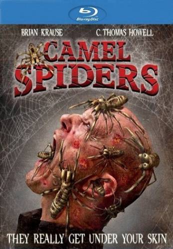 Верблюжьи пауки / Camel Spiders (2012) Смотреть онлайн